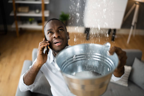 Best Ceiling water damage repair  in North Apollo, PA