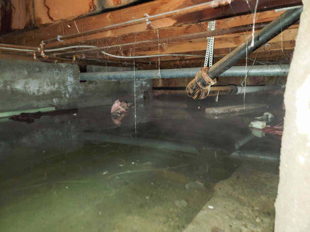 Best Flood restoration services  in North Apollo, PA