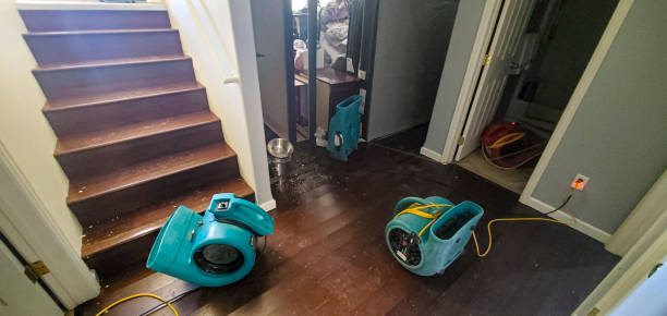 Best Basement water damage restoration  in North Apollo, PA