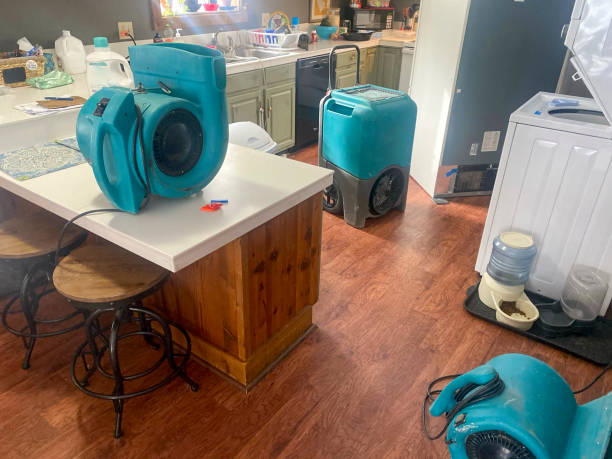 Best Ceiling water damage repair  in North Apollo, PA