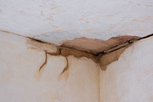 Best Flooded house restoration  in North Apollo, PA