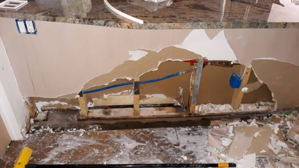 Best Water damage restoration near me  in North Apollo, PA