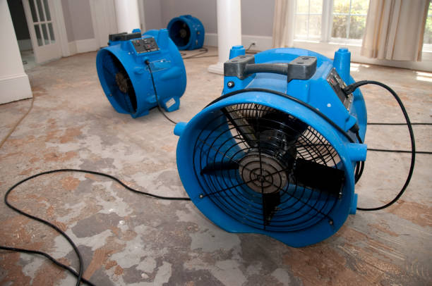 Best Carpet water damage restoration  in North Apollo, PA