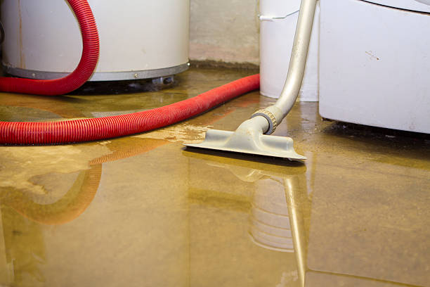 Best Sewage cleanup and water damage restoration  in North Apollo, PA