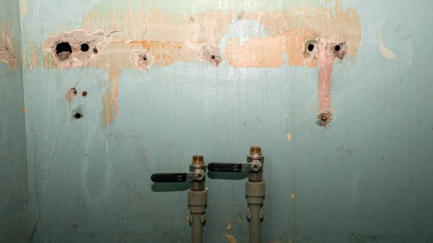 Best Local water damage restoration  in North Apollo, PA