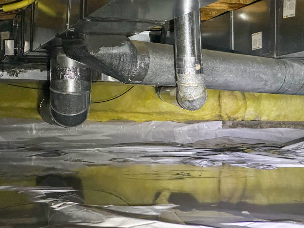 Best Sewage cleanup and water damage restoration  in North Apollo, PA