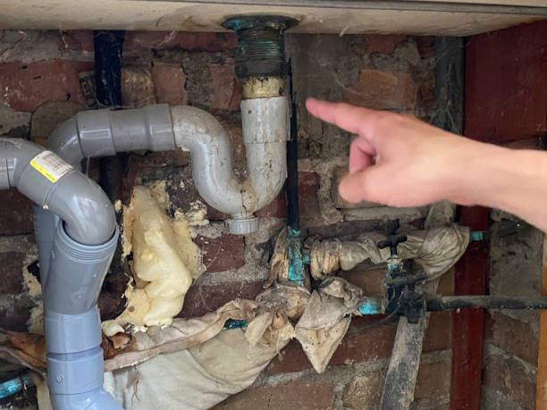 Best Water damage contractors near me  in North Apollo, PA