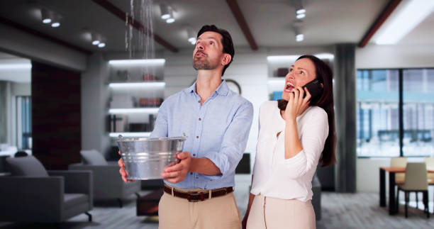 Best Fire Damage Restoration  in North Apollo, PA