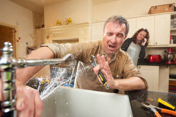 Best Mold removal after water damage  in North Apollo, PA